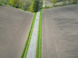 DJI_0579