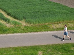 DJI_0606