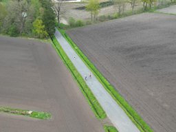 DJI_0608