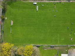 DJI_0660