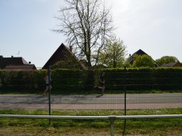 DSC_0313